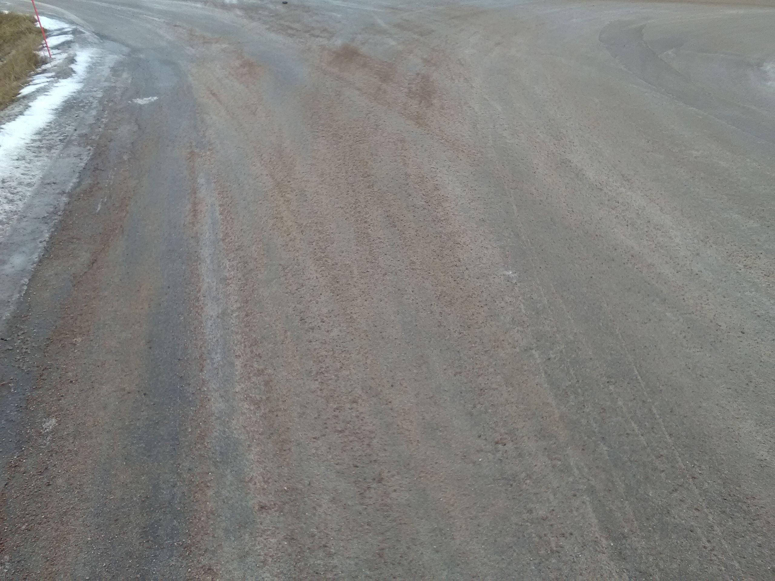 Kultatarvas soranjalostus