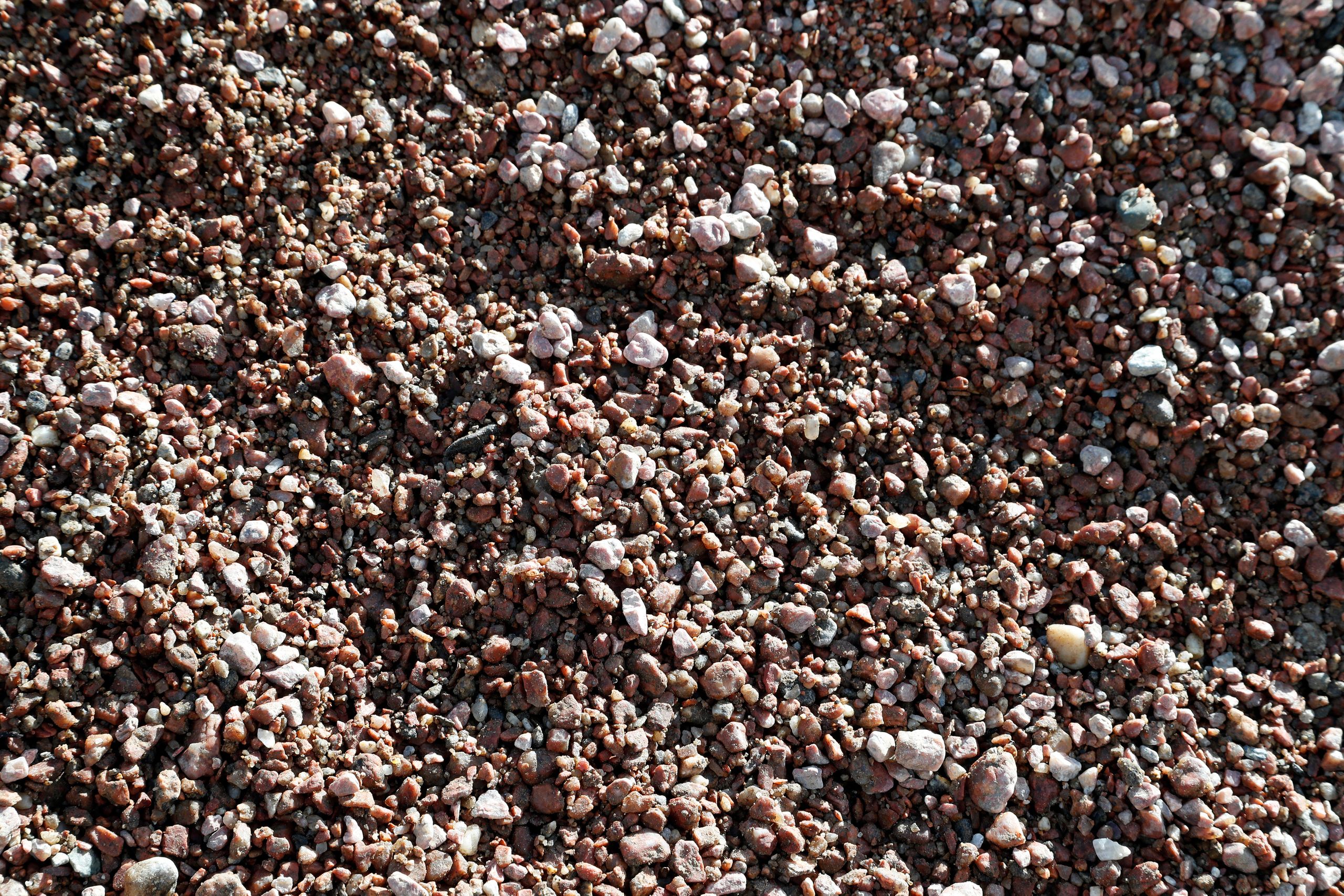 Kultatarvas soranjalostus