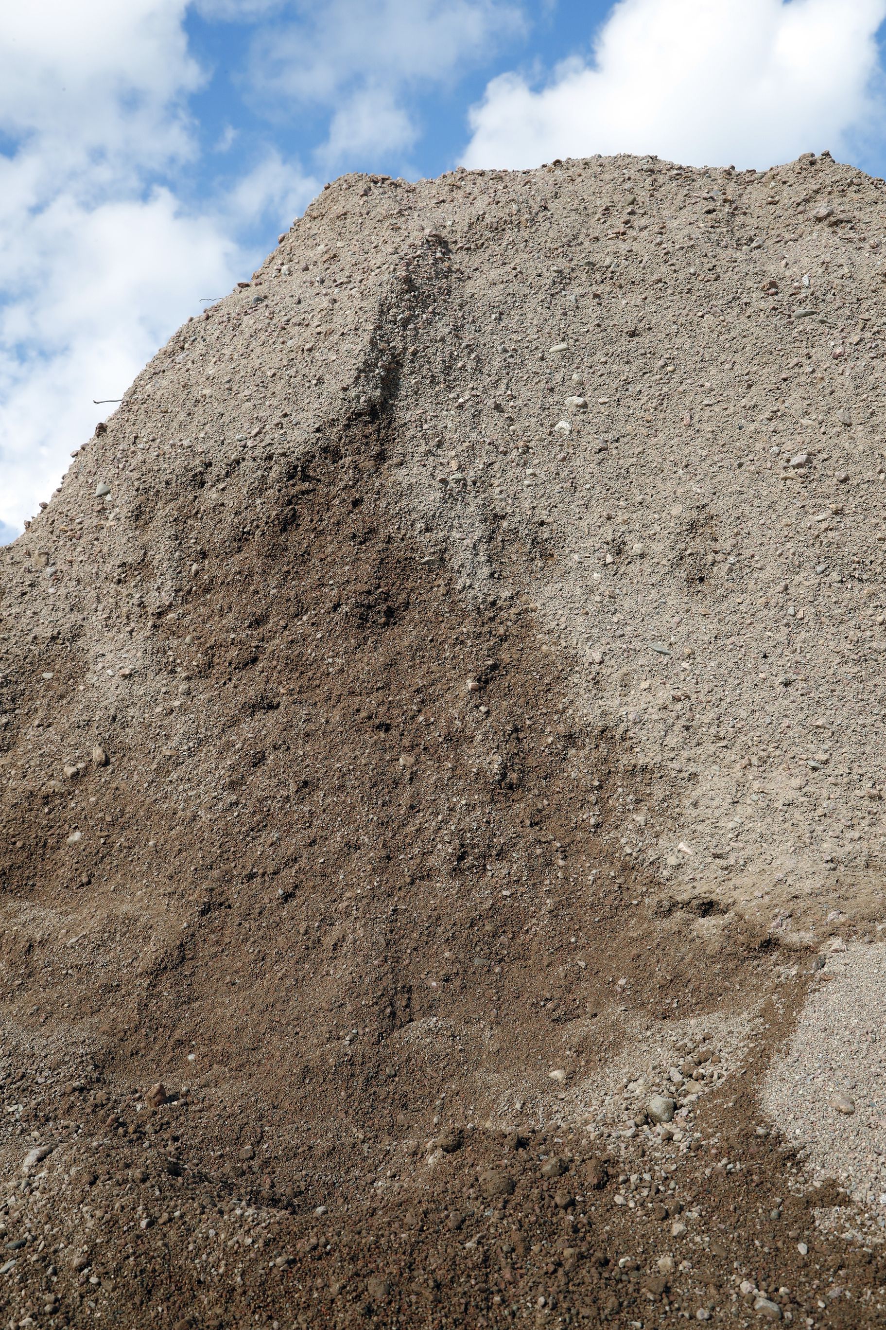 Kultatarvas soranjalostus